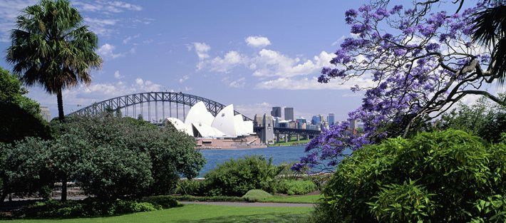 Sydney Garden and Art guided accessible tour accessible experience