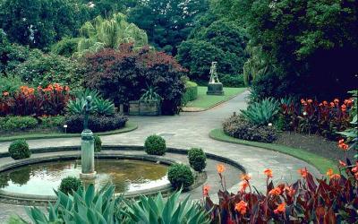 Sydney Garden and Art guided accessible tour accessible experience