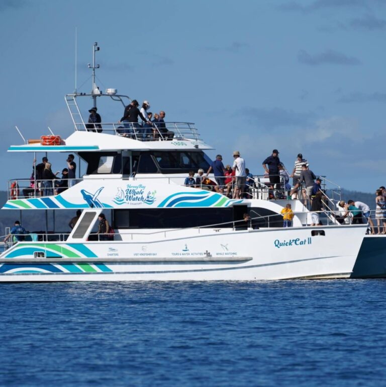 Hervey Bay Whale Watch - an  Accessible Experience. Quick Cat II is the only vessel in the Hervey Bay fleet to be wheelchair friendly